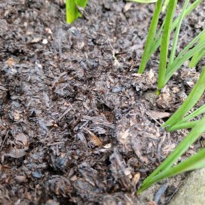 Compost Bulk Bags (£100 Per Bag)